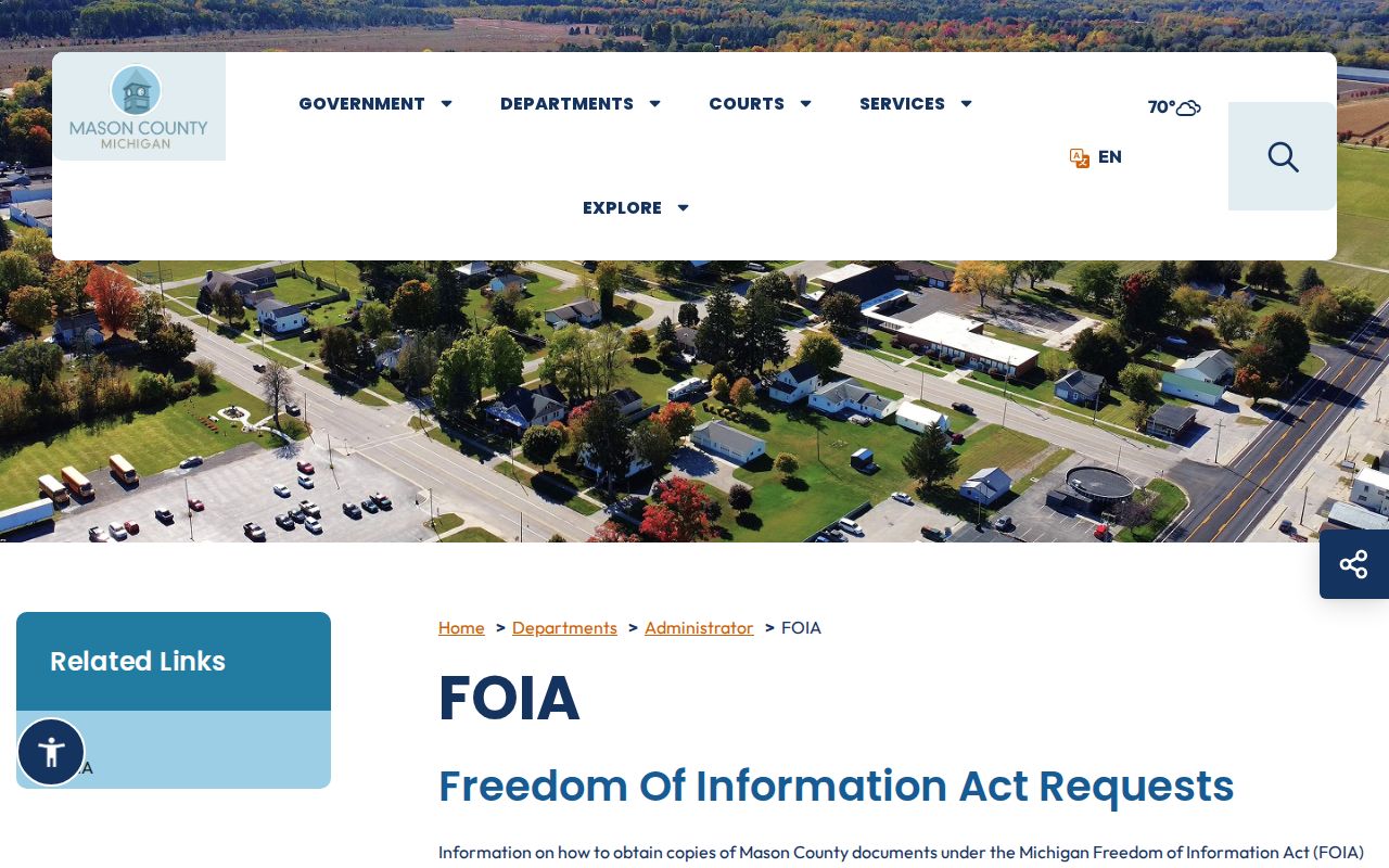 Mason County court records and FOIA access information